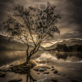 A moody morning at Llyn Padarn